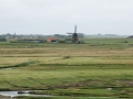 09  DSC02501