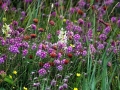 19 DSC02525