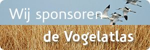 wij-sponsoren-de-Vogelatlas-300x100