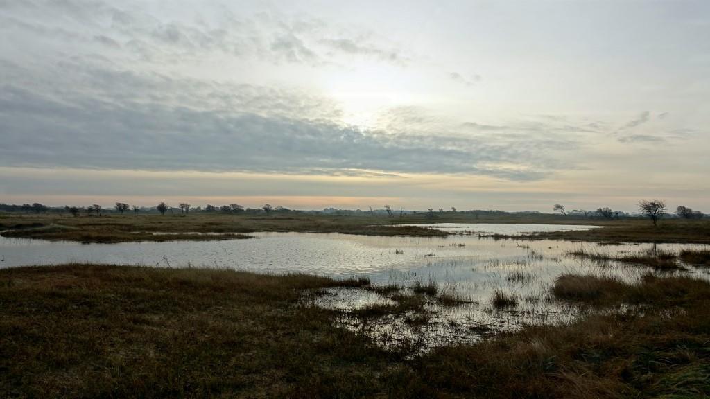 Natste herfst ooit in de A.W.Duinen