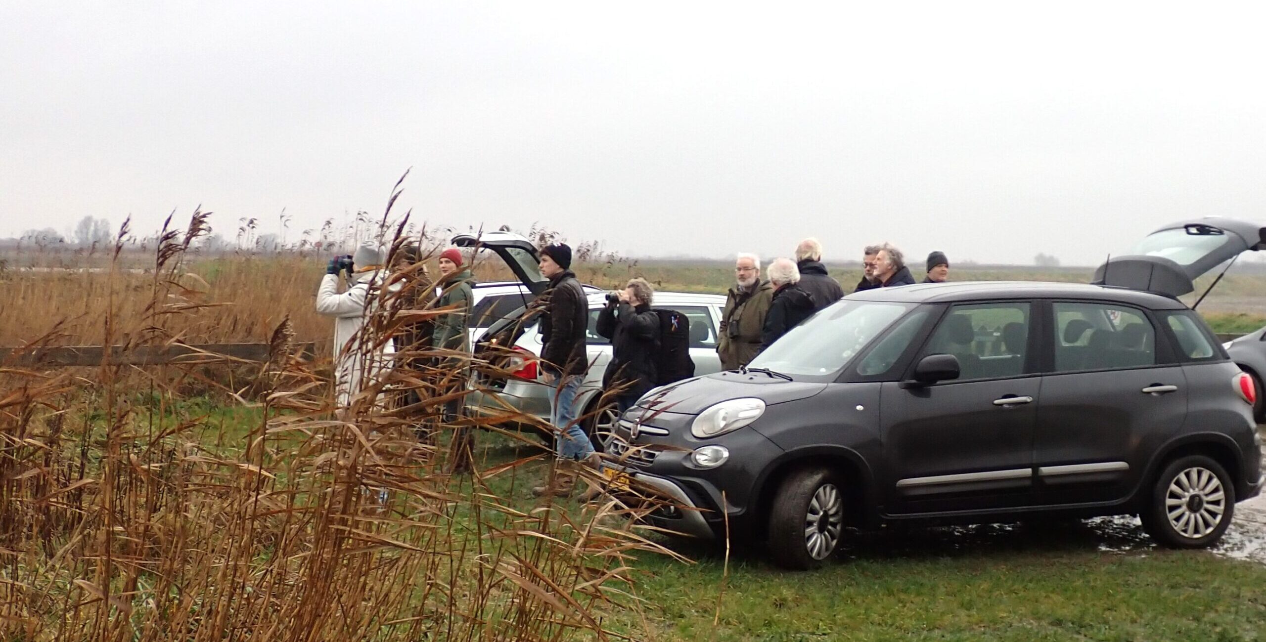 Excursie Deltagebied