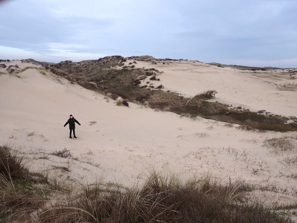 Excursie Coepelduynen