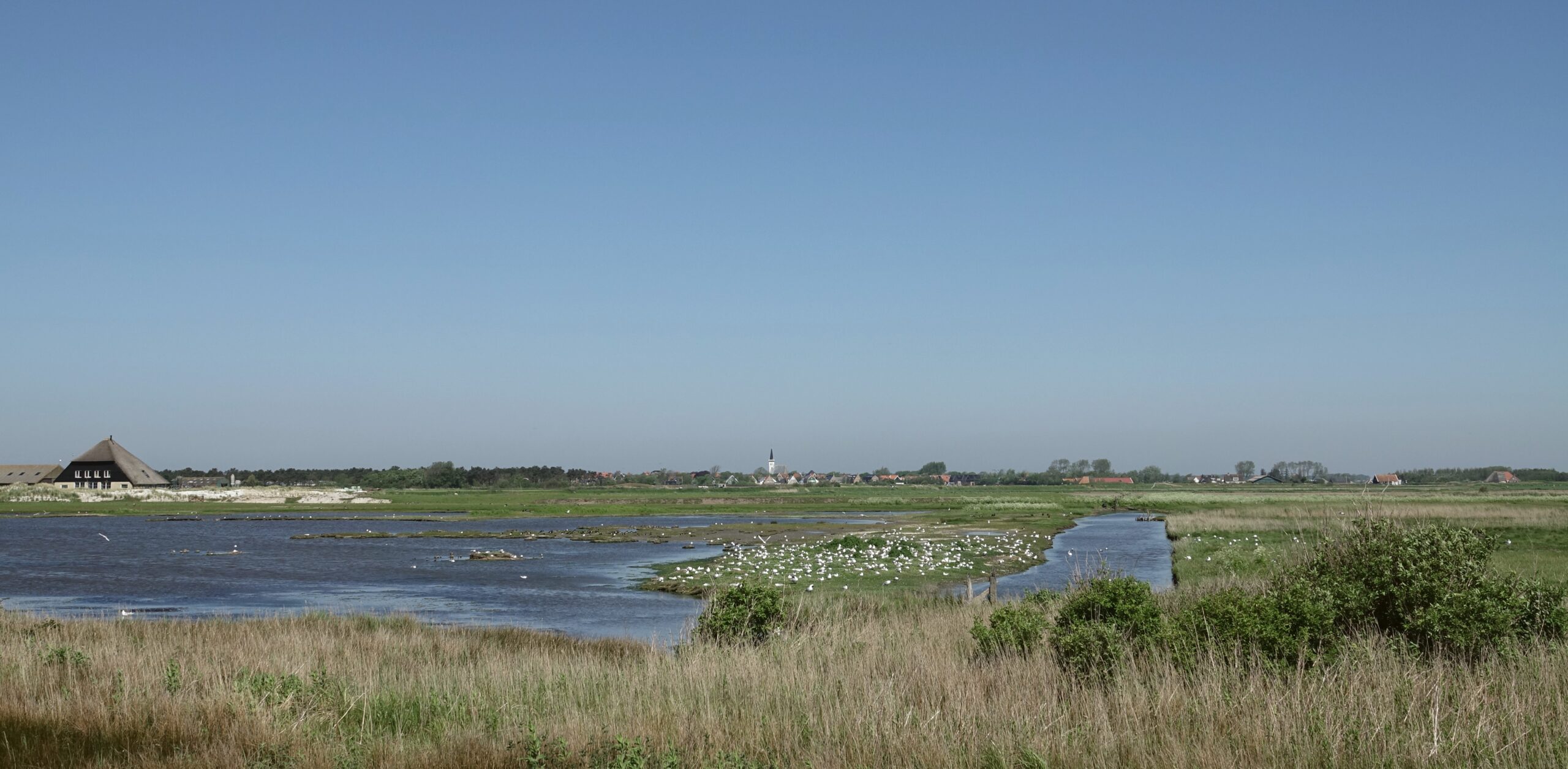 Voorjaar op Texel