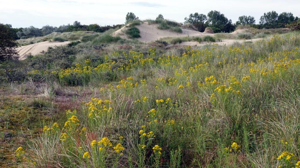 Een wisselvallige zomer in de A.W.Duinen