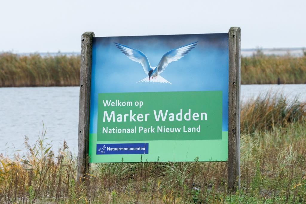 20/10/24 Bezoek aan de Marker wadden (met meer foto’s)