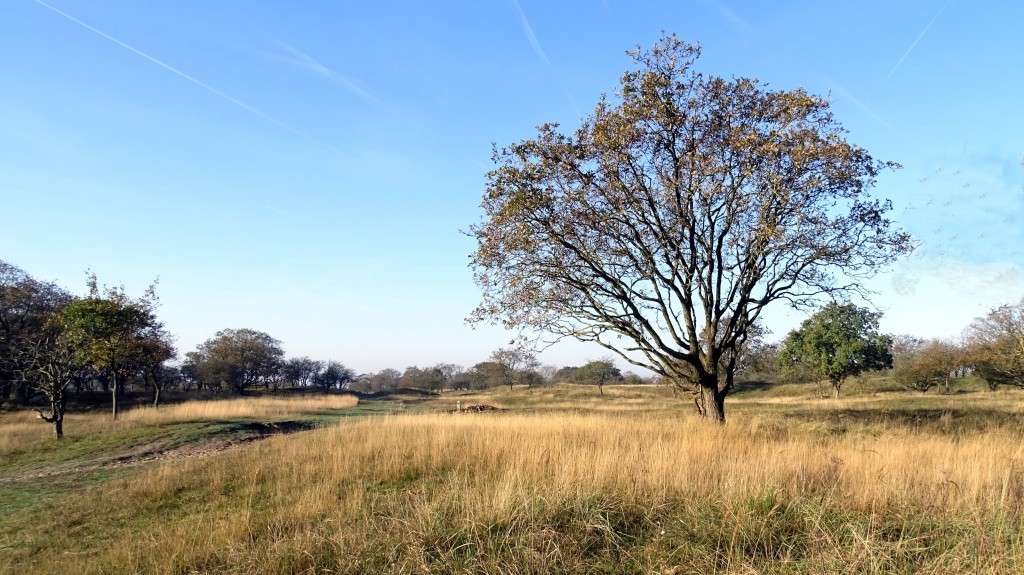 Einde herfst begin winter