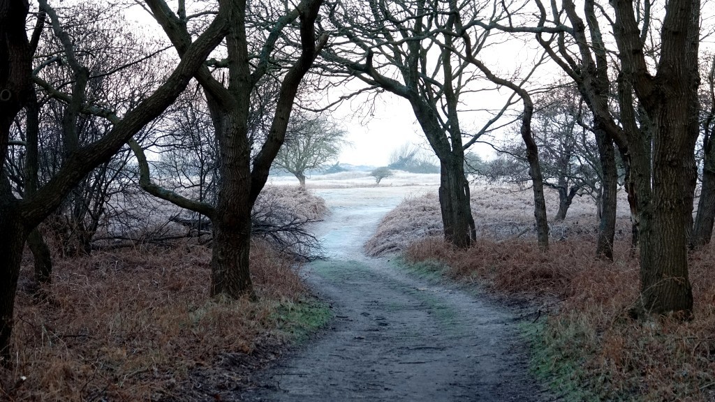 Winter in de A.W.Duinen