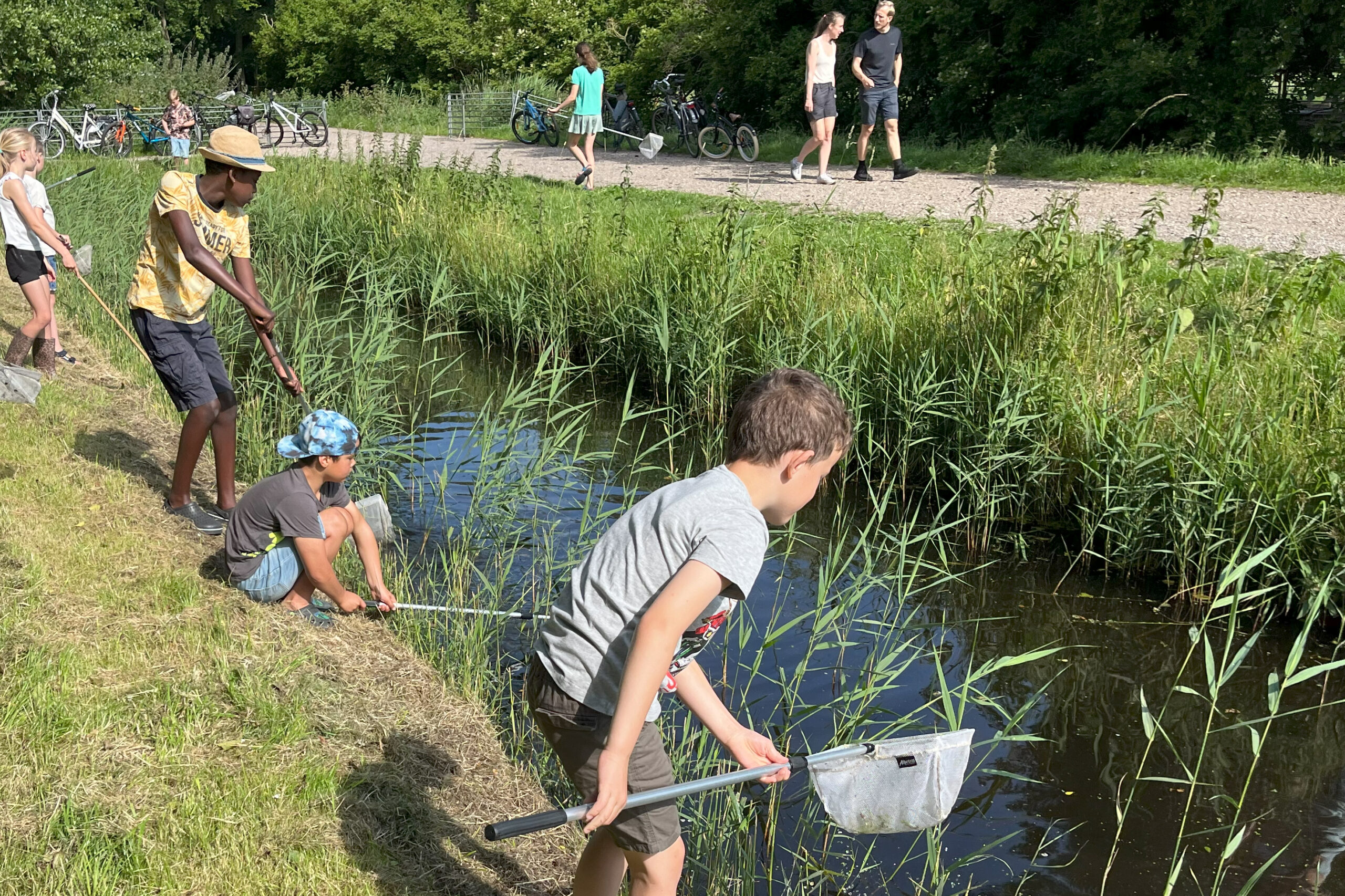 Verslag slootjesexcursie 14 juni jeugdnatuurclub