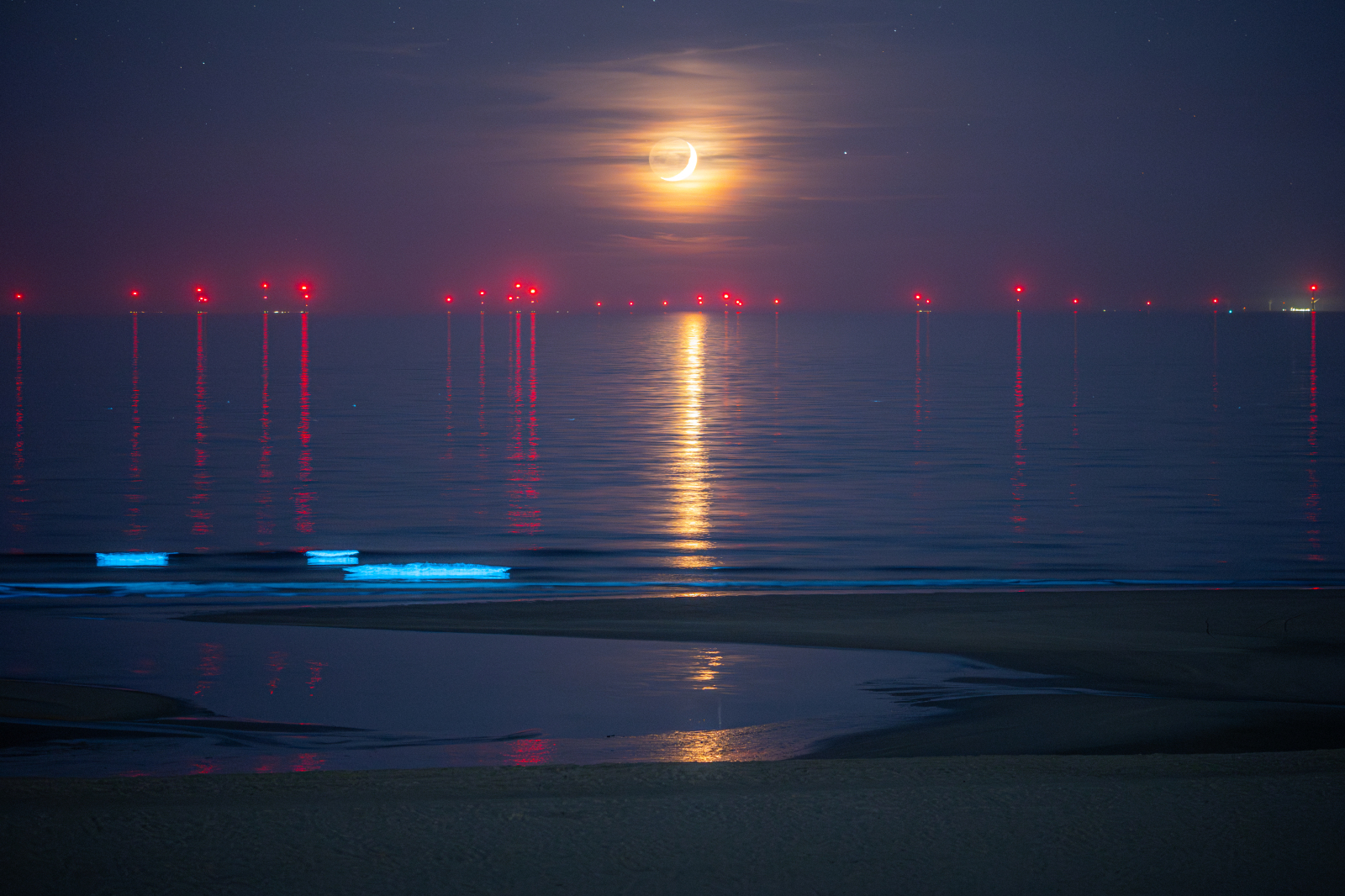 Foto’s met Zeevonk van Corné Ouwehand in Natuurcentrum Katwijk