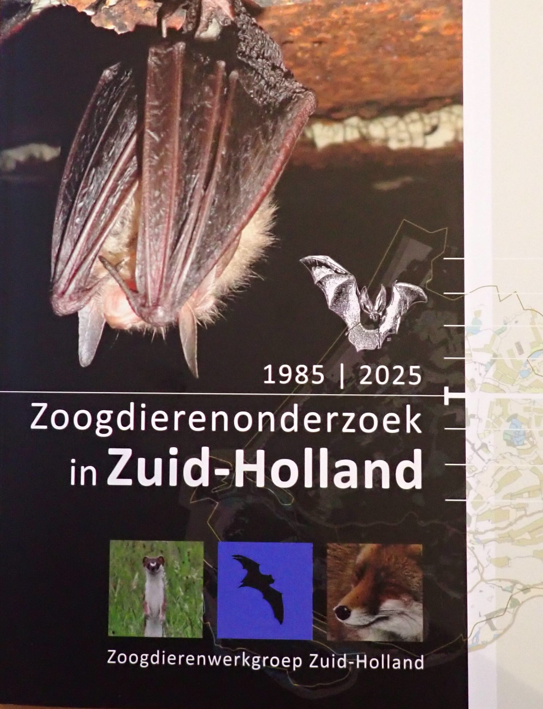 Zoogdierenonderzoek in Zuid-Holland