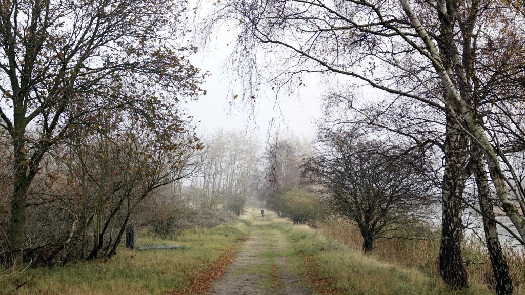Een late herfst in de A.W.DUINEN