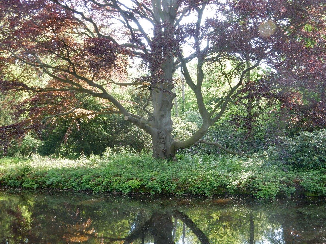 18 april 2026 Huys te Warmont