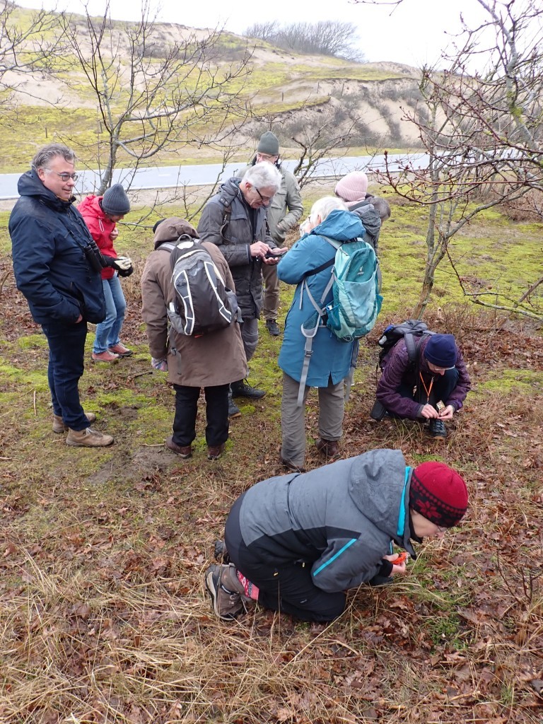 Mossenexcursie Duindamseslag