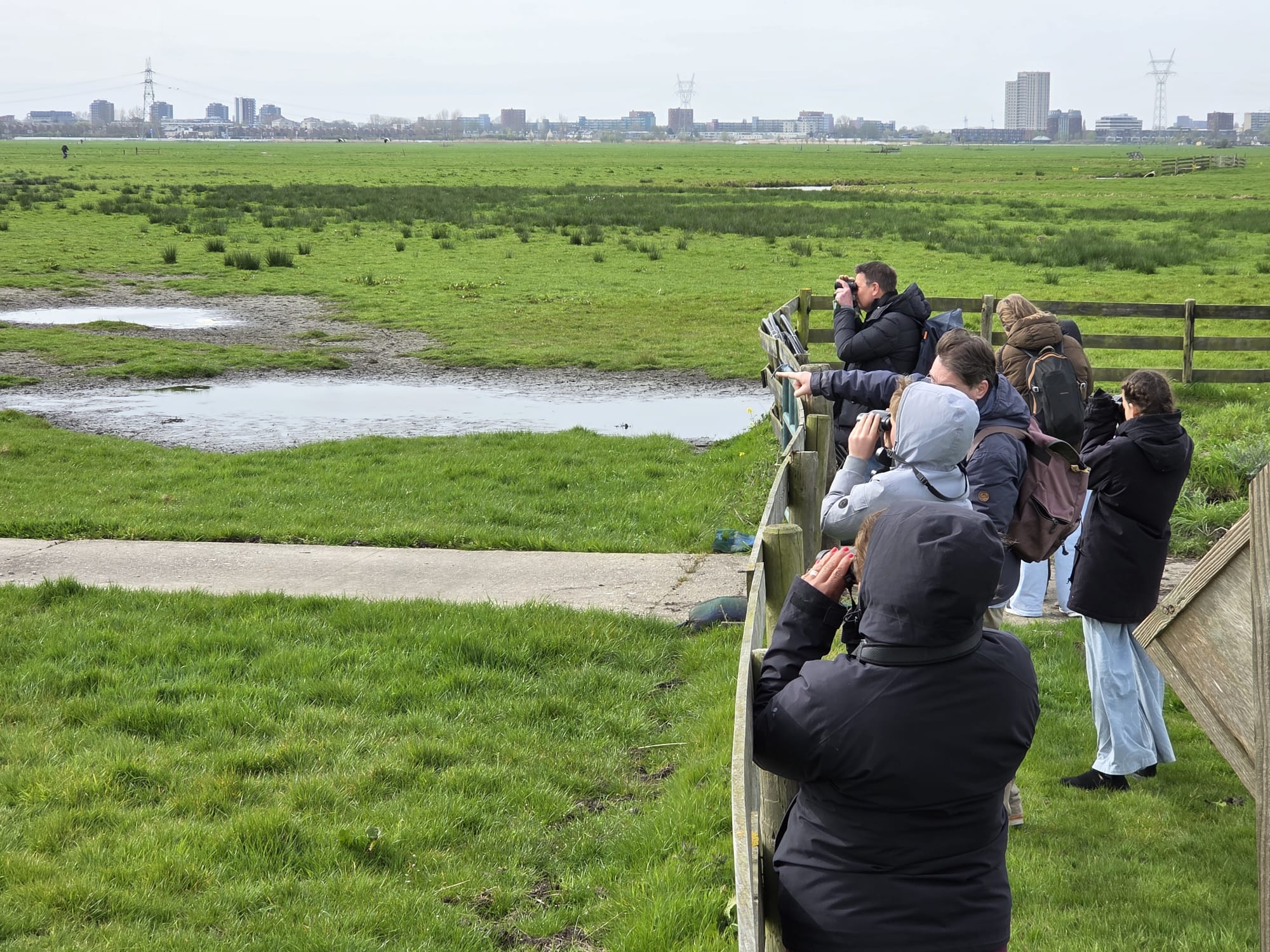 Verslag weidevogelexcursie 11 april (Jeugd)