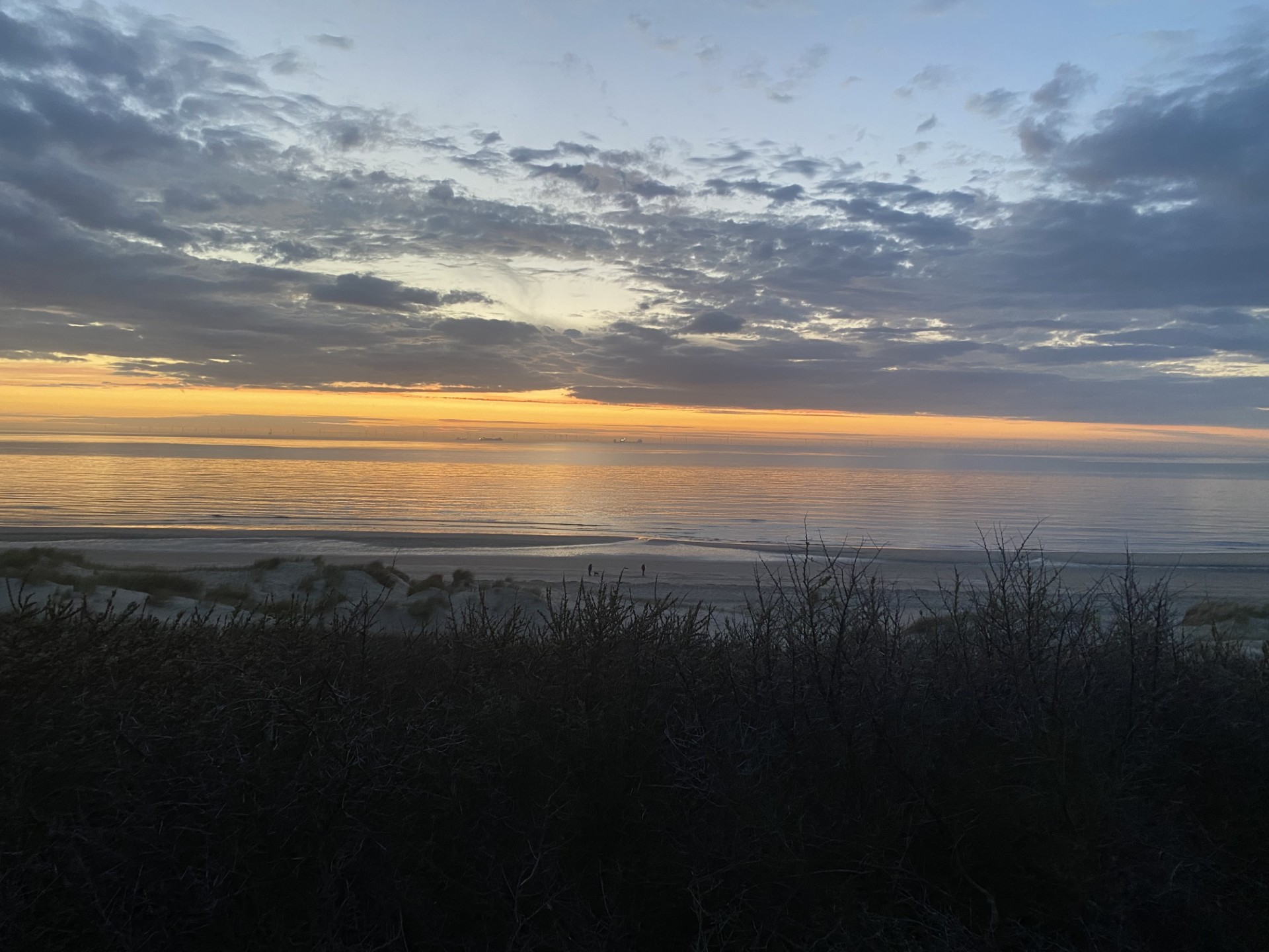 15 en 16  mei IVN Lentewandeling van schemer naar duisternis