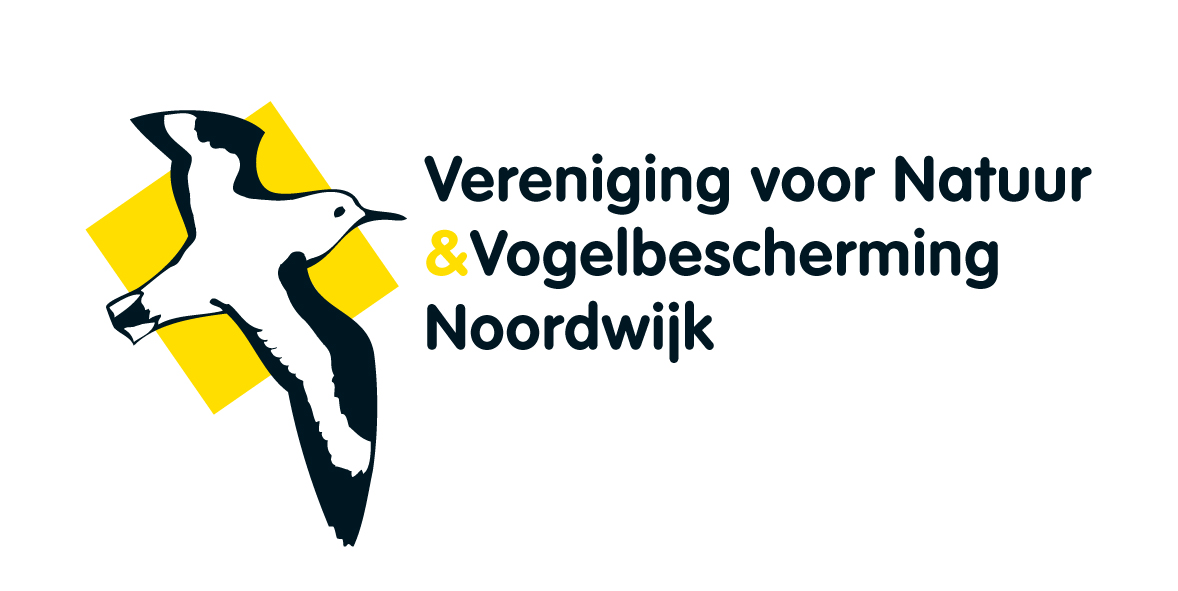 16 mei 2026 Noordwijkse dag van het strand