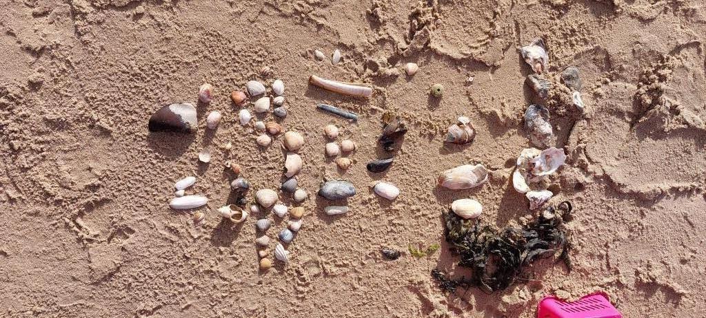 11 juli 2026 Strandjutten  (jeugdactiviteit)