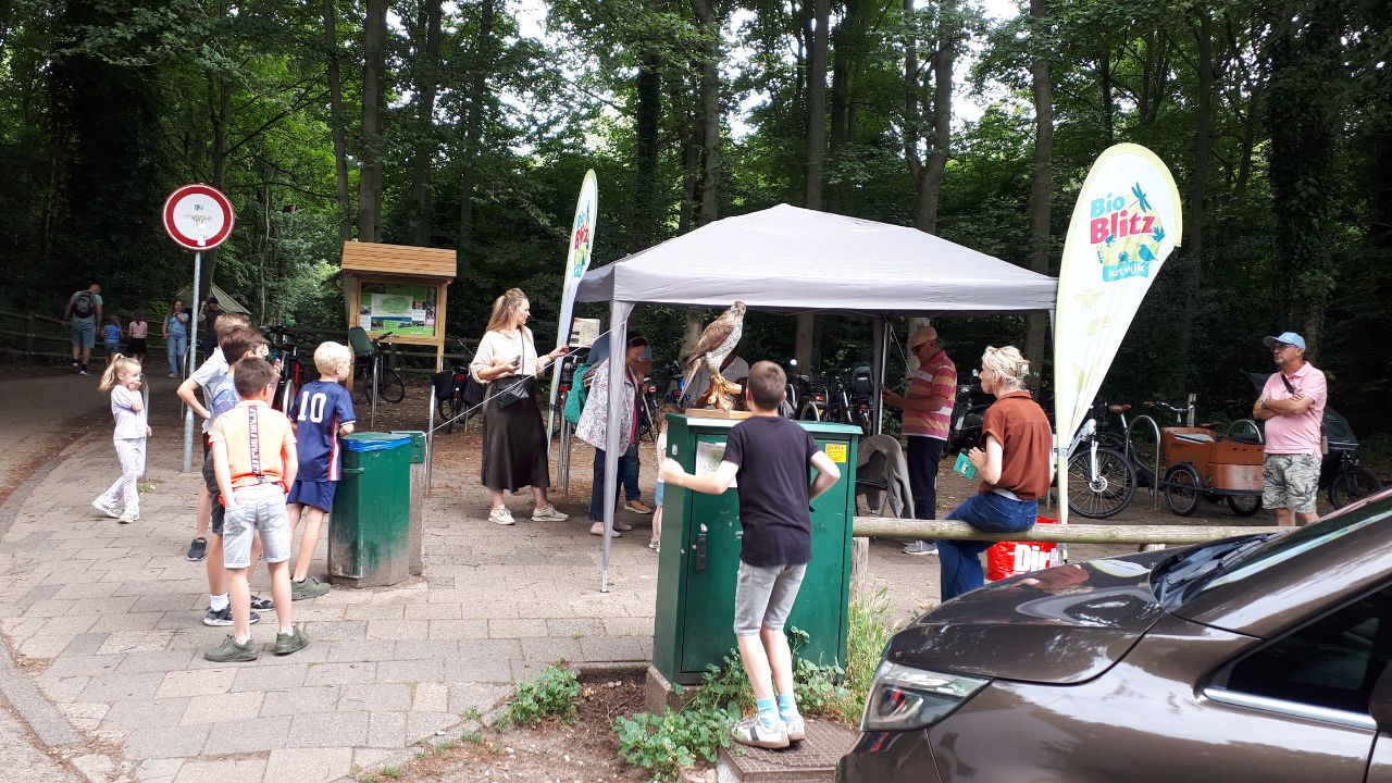 27 juni 2026  speurtocht door het Panbos