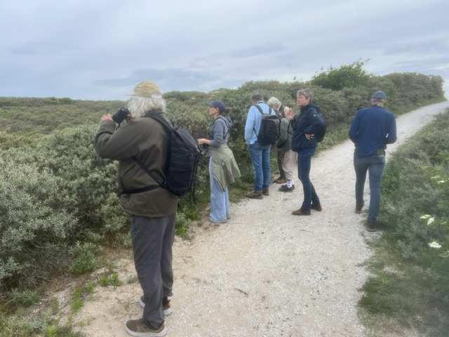 Verslag excursie de Zeereep zaterdag 6 juni